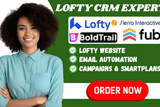setup lofty crm smartplan lofty website idx follow up boss sierra interactive VA
