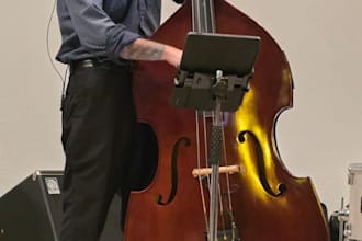 record professional double bass for your song