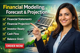 build financial model, forecast, projections and financial statements