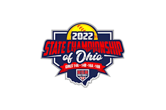 create wonderful and excellent softball logo design