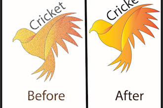 convert a low resolution of logo to vector manually