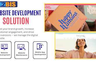 do custom web development, e commerce solutions