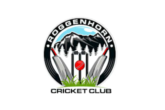 create graceful and fantastic cricket logo design