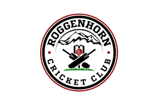 create professional and specially cricket logo design