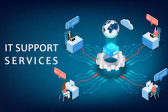 provide professional remote IT support and troubleshooting
