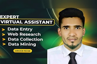 do professional data entry and web research for you