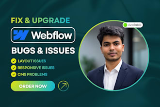 customize your webflow template, edit, update template as a webflow developer