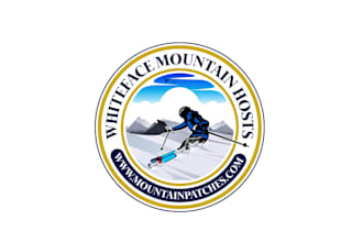 create exclusive and marvelous skiing logo design