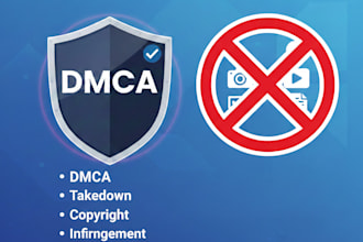 send professional dmca takedown to remove infringing content