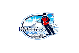 create graceful and fantastic skiing logo design