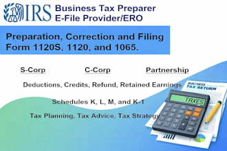 prepare and file US business tax returns 1065, and 1120