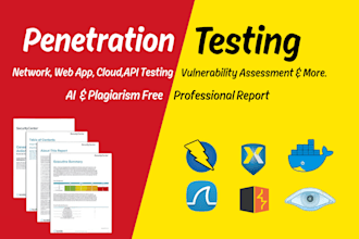 do penetration testing assessment and provide detailed penetration test report