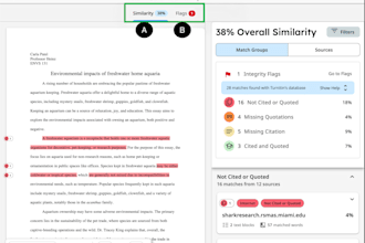 generate plagiarism and ai detection report for you