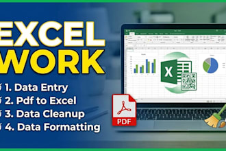 professional excel and word services