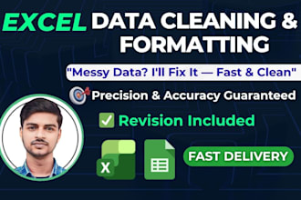 clean, format, marge and organize excel data professionally