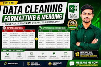 clean, format, marge and organize excel data professionally
