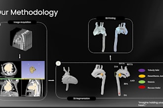 help surgical plans with 3d reconstructions of your patient