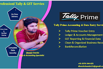 professional excel, word, tally and data entry services