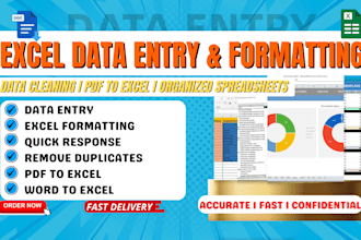 be your ms excel assignments, excel formula financial analysis report very quick