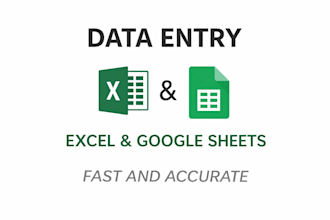 accurate data entry and excel or google sheets organization