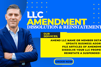 do US company formation llc amendment, dissolution, reinstatement or corporation