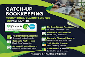 do bookkeeping, quickbooks cleanup, xero and wave expert
