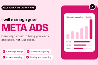 be your professional meta ads manager