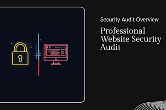 perform website penetration testing and security audit