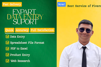 work on excel spreadsheets, analysis and data cleaning