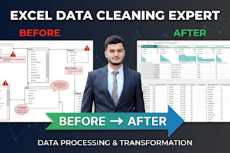 be your excel expert for data cleaning and formatting