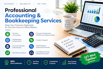 do professional accounting, bookkeeping and financial statements