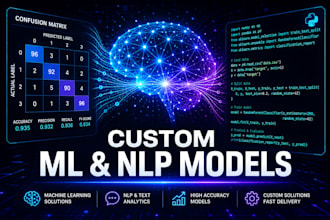 build a custom machine learning or nlp model for your data