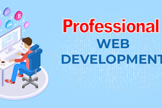 create and maintain a professional website for you