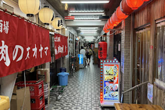 be your reliable local assistant in osaka japan