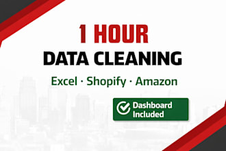 clean and analyze your messy shopify, amazon or excel sales data in 1 hour