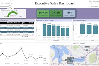 build a professional power bi dashboard for KPI reporting