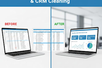 execute error free data entry and CRM cleaning within 1 day