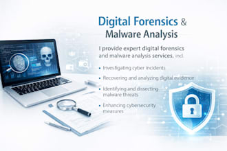 perform digital forensics and malware analysis