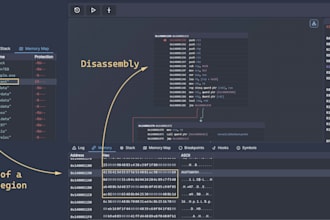 reverse engineer exe, dll, apk, and analyze binaries professionally