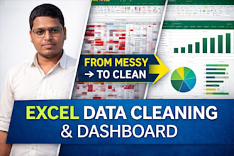 provide proffesional excel data cleaning and formatting