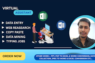 do excle data entry, web research, copy paste, typing work