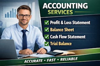 prepare profit and loss, balance sheet, and financial reports