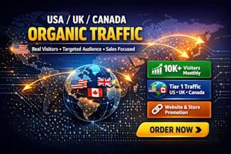 organic website traffic, promote store and business link