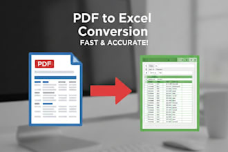 professional PDF to excel conversion with data cleaning
