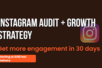 audit your instagram and create a custom engagement growth strategy