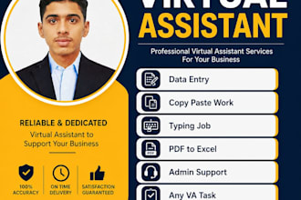 be your personal virtual assistant for data entry, copy paste, admin support,