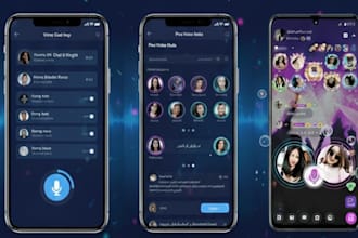 develop a professional voice chat room application