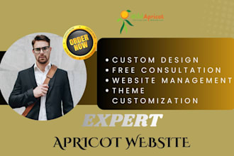 build and develop professional  wild apricot website