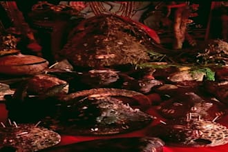 remove black magic , curse , hex ,karma , love spell and protection spell
