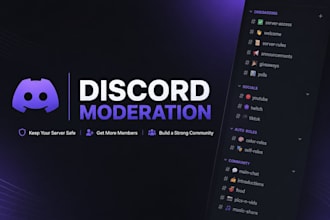 manage your discord community professionally